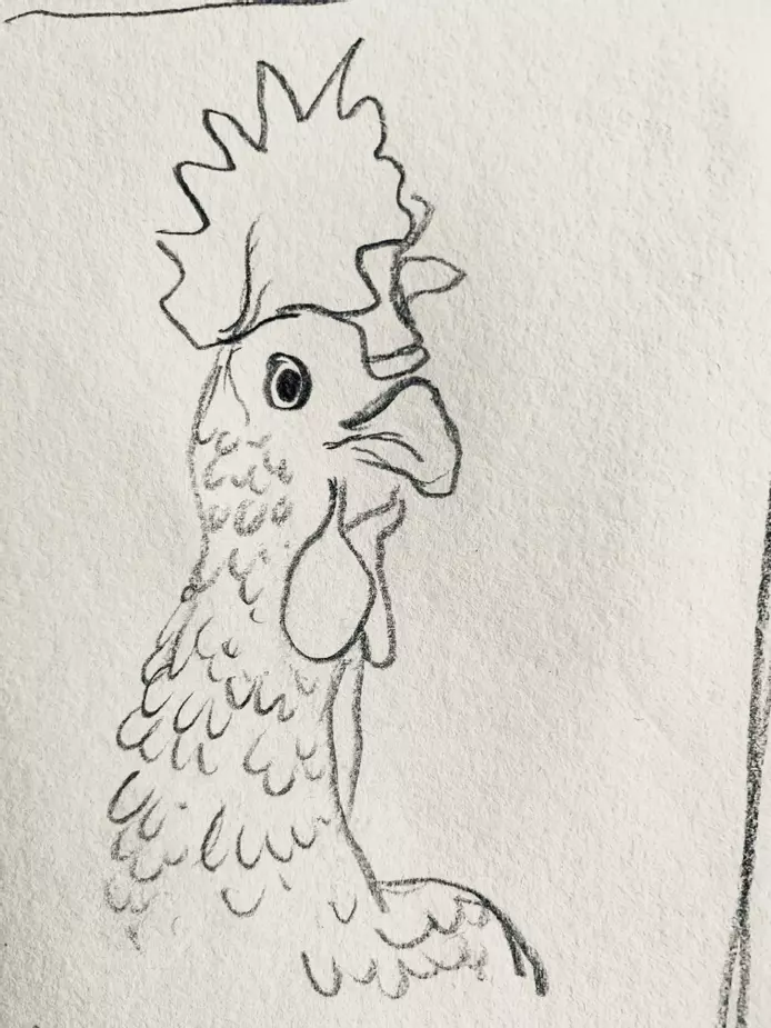 a line drawn head of a chicken, drawn in pencil. The chicken is slightly turned to the side, and has a serious look to her.